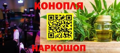 шишки Абакан