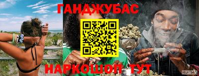 шишки Абакан