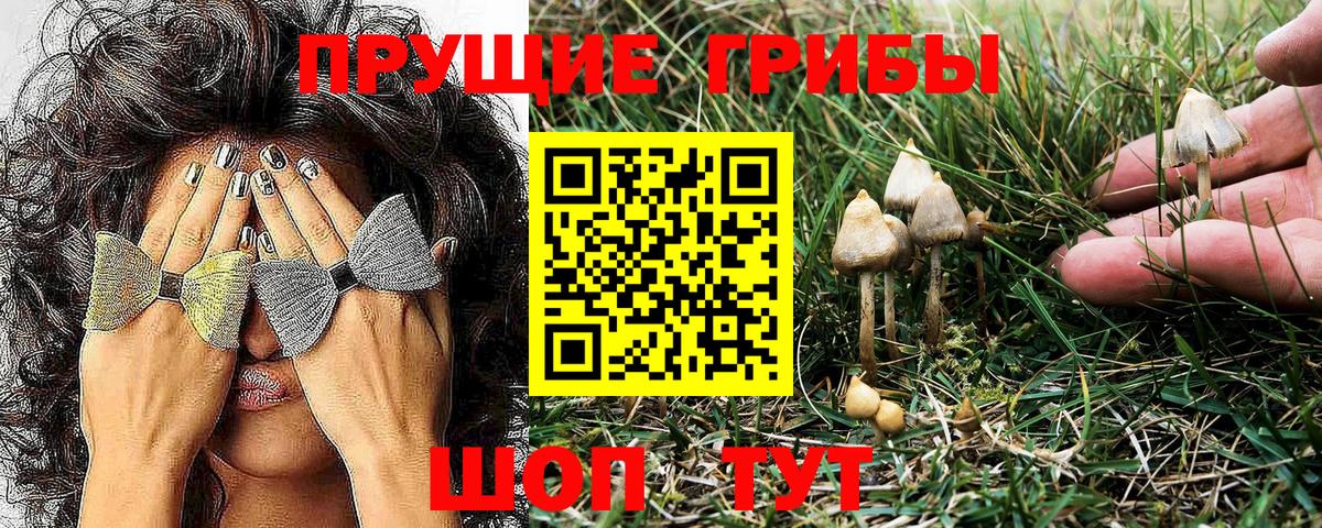 Псилоцибиновые грибы GOLDEN TEACHER  Вход с VPN  Псилоцибиновые грибы Magic Shrooms  Амурск 